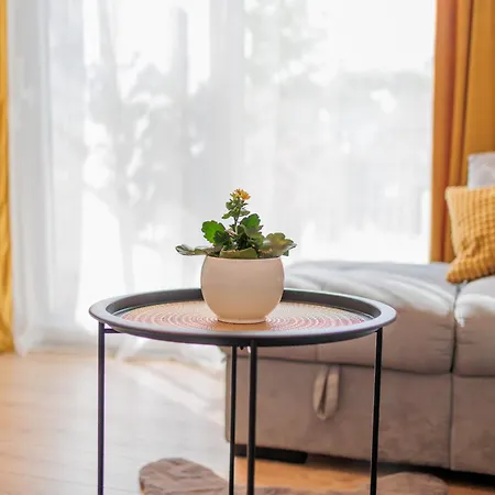 Sunny Flower Appartement *