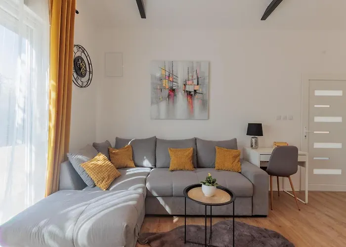 Sunny Flower זאדאר